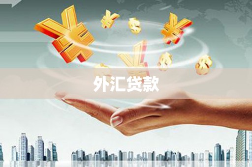 常山外汇贷款