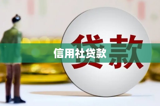 常山信用社贷款