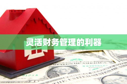 常山灵活财务管理的利器