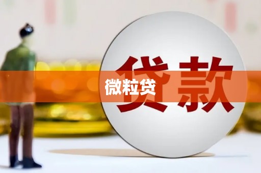 常山微粒贷