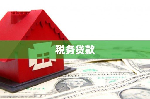 常山税务贷款