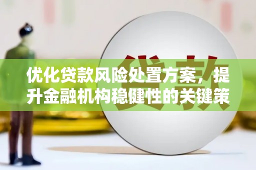 常山优化贷款风险处置方案，提升金融机构稳健性的关键策略