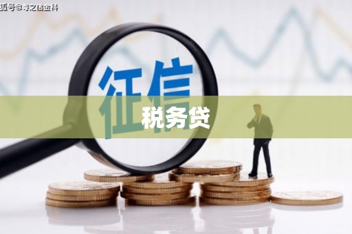 常山税务贷