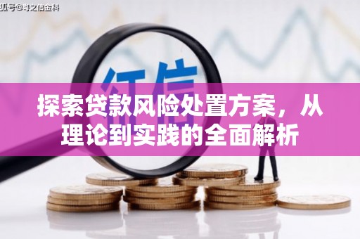 常山探索贷款风险处置方案，从理论到实践的全面解析