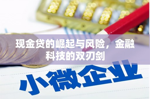 常山现金贷的崛起与风险，金融科技的双刃剑