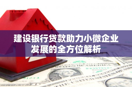 常山建设银行贷款助力小微企业发展的全方位解析