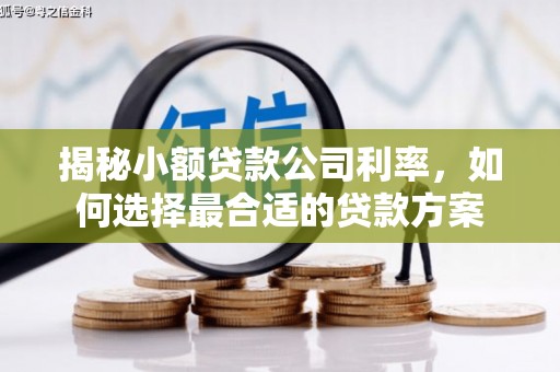 常山揭秘小额贷款公司利率，如何选择最合适的贷款方案