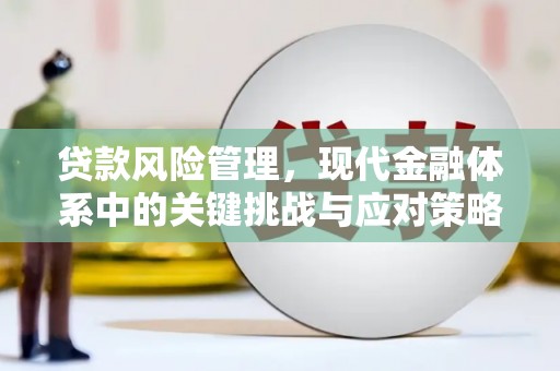 常山贷款风险管理，现代金融体系中的关键挑战与应对策略
