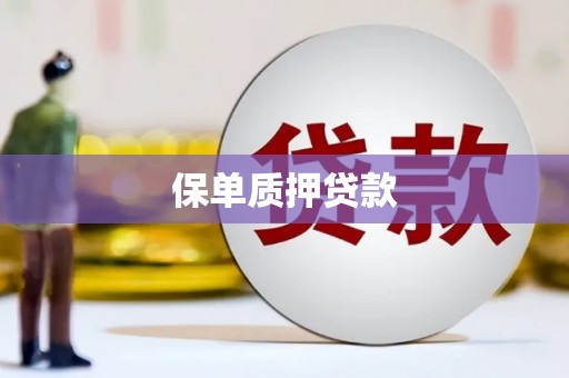 常山保单质押贷款