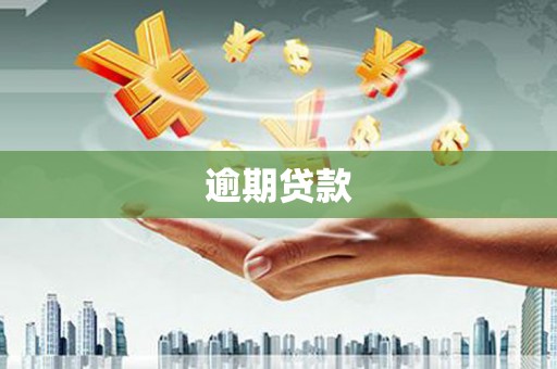 常山逾期贷款