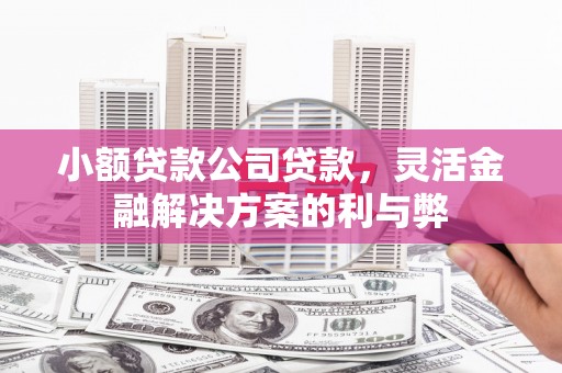 常山小额贷款公司贷款，灵活金融解决方案的利与弊